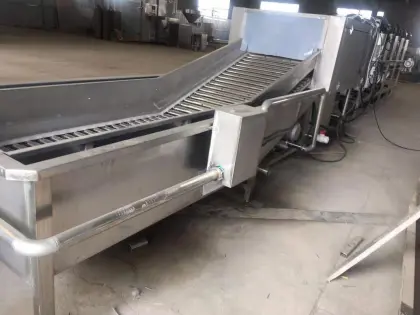 Shandong Zhucheng Vegetable Fruit Washing Drying Line