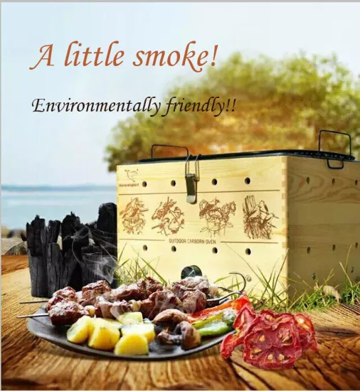 Industrial Outdoor Kebab Smokeless Charcoal BBQ Grill