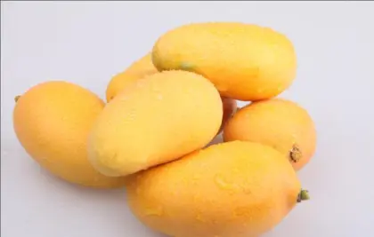 Wholesale Freeze Dried Fd Mango Slices