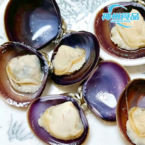 Delicata carne di vongole surgelata allo stile fresco