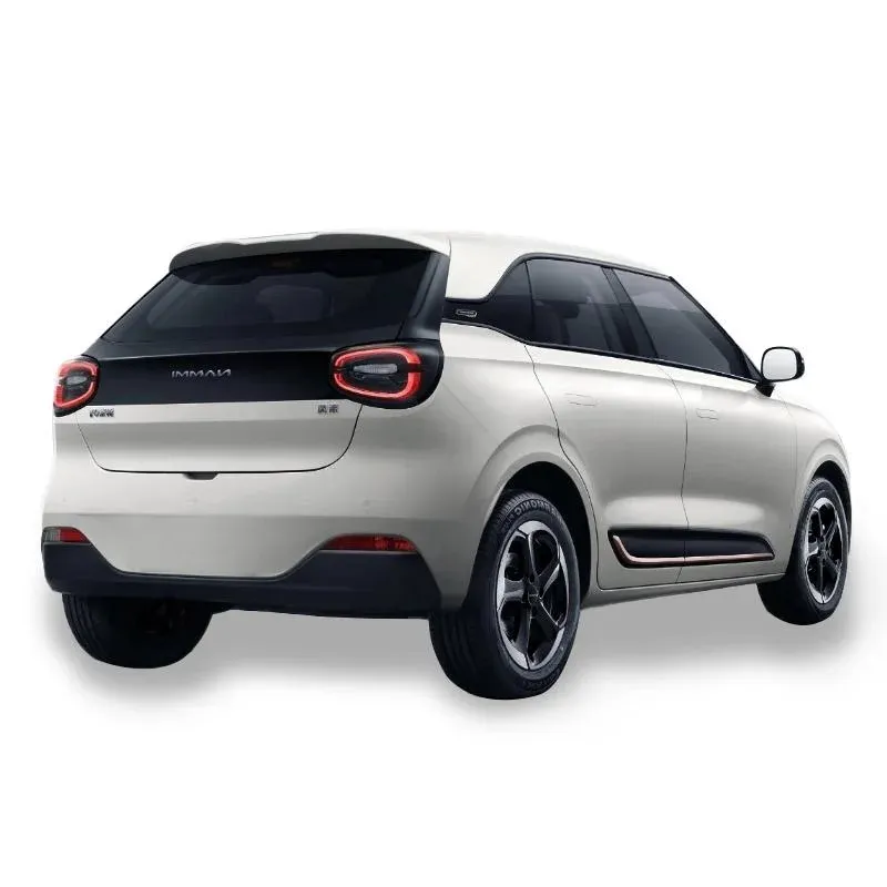 2024 Dongfeng Nano 01 City-Friendly EV