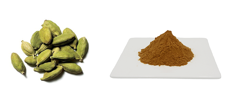 Cardamom Extract Powder