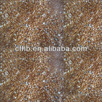 Yellow millet glutinous and non-glutinous