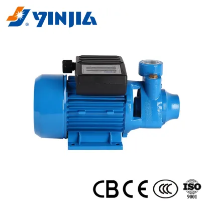 0.5 HP Peripheral Pump