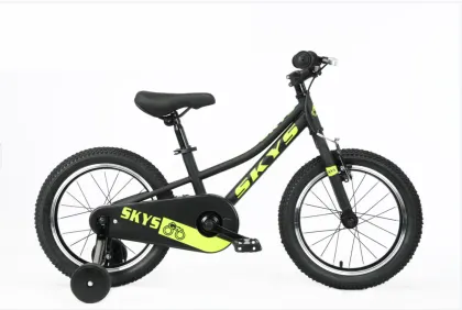 Steel Frame Children′ S Bike Double Disc Brake