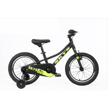 Steel Frame Children′ S Bike Double Disc Brake