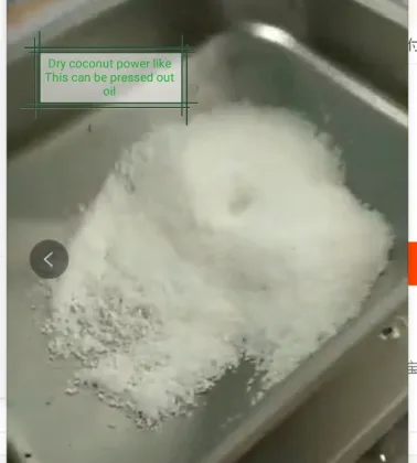 Family used mini walnut oil press