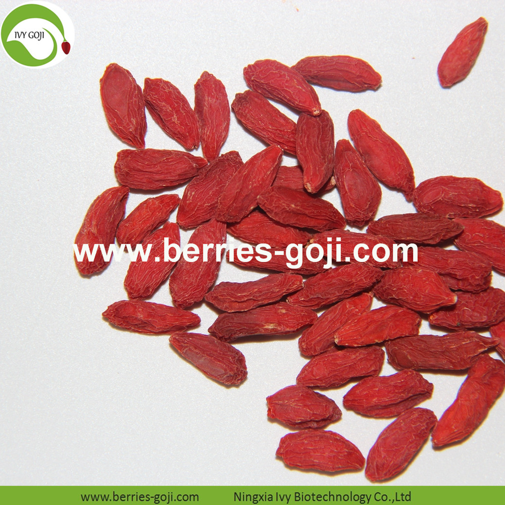 Goji Berry