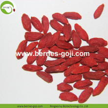 Factory Supply Fruits Nutrition Neue Ankunft Goji Berry