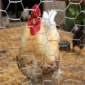 cerca hexagonal de la malla de alambre de la jaula del pollo para el ganado