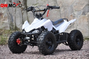 cheap 2 Stroke Mini 49cc 50cc electric Start Mini Quad for kids