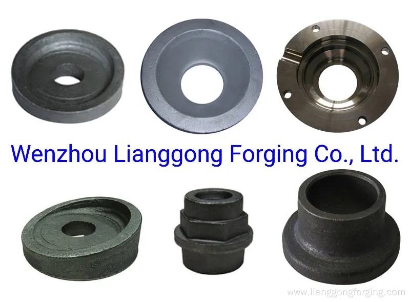 Flange Forging with Carbon Steel/Alloy Steel/Stainless Steel