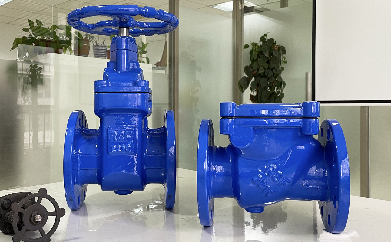 BS5163 BS5153 Metal Seat Gate Valve and Swing Check Valve