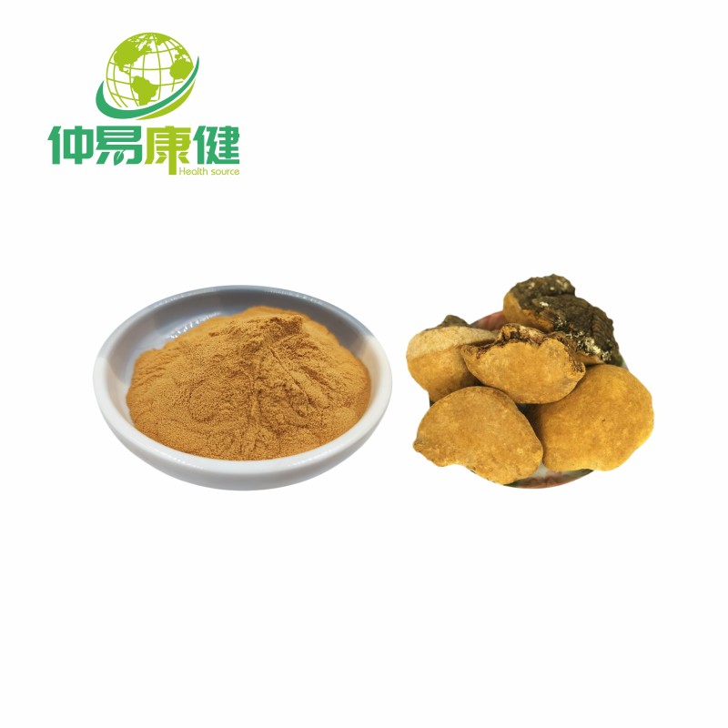 Phellinus Linteus Mushroom Extract