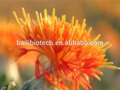 Organic Safflower Seed Oil