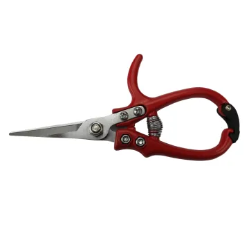Affordable Garden Fruits Pruning Shears: New Arrival for Efficient Gardening