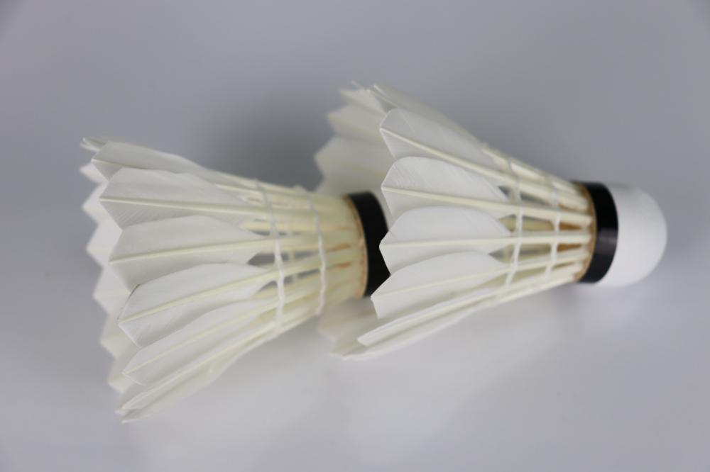 OEM Cheap Cigu Duck Feather Badminton Shuttlecock