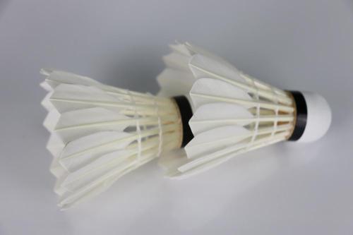 Volant de badminton en plumes de canard Cigu bon marché OEM
