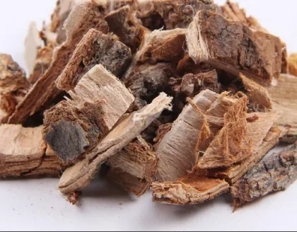 Slipper Elm Bark Extract Powder