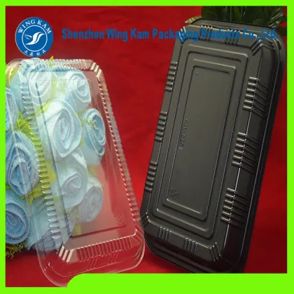 Great Sale Lunch Disposable Tray