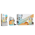 10000 bocanadas kit de vape recargable 20 ml