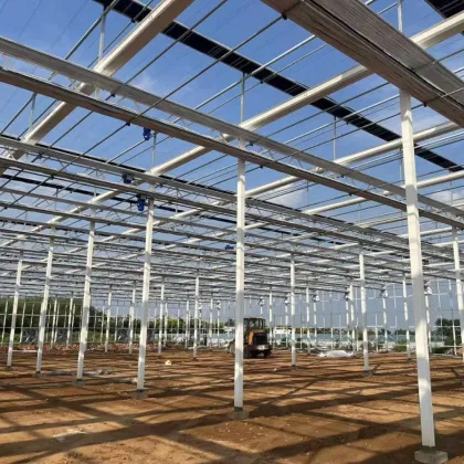 Agriculture Arched PC Board Commercial Greenhouse