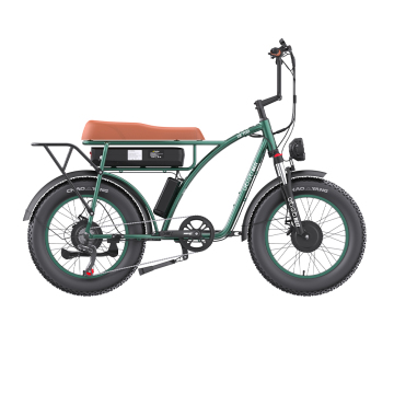 2024 Electric Fat Tire Bike with EMC/CE/ROHS Approval - Hot Sale Now!
