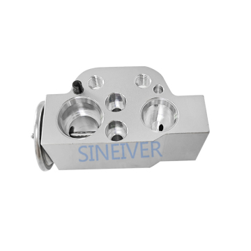 Volkswagen Air Conditioning Expansion Valve: Beetle, CC, Golf, Tiguan, Touareg, Octavia A5 B6