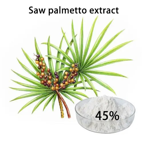 Saw Palmetto Extracto de 45% de tableta de polvo