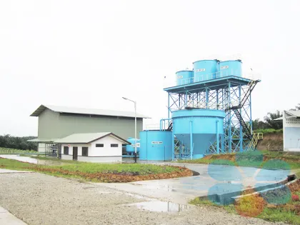 Palm Fruit Pressing Oil Production Line | Palm Oil Plant | Palm Oil Mill