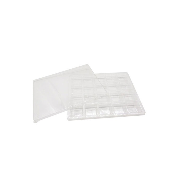 Food grade PET plastic blister tray with lid