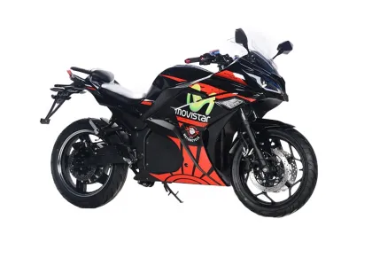 Off Road Electric Bike 2024 Adult