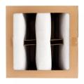 AiFilter Patented F5 Honeycomb Lacquered Mist Carton Filter Box