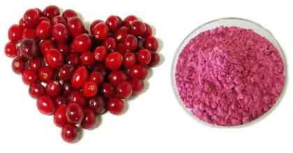 Cranberry Powder Cranberry Extract 25% Proanthocyanidin