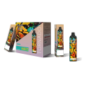  Best Flavours Disposable Randm Vape 6000 Puffs Supplier