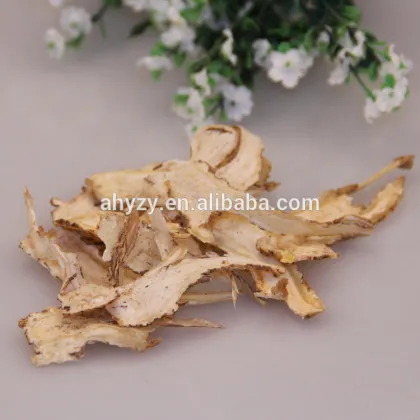 Traditional Chinese medicinal decoction pieces angelica sinensis (Danggui)