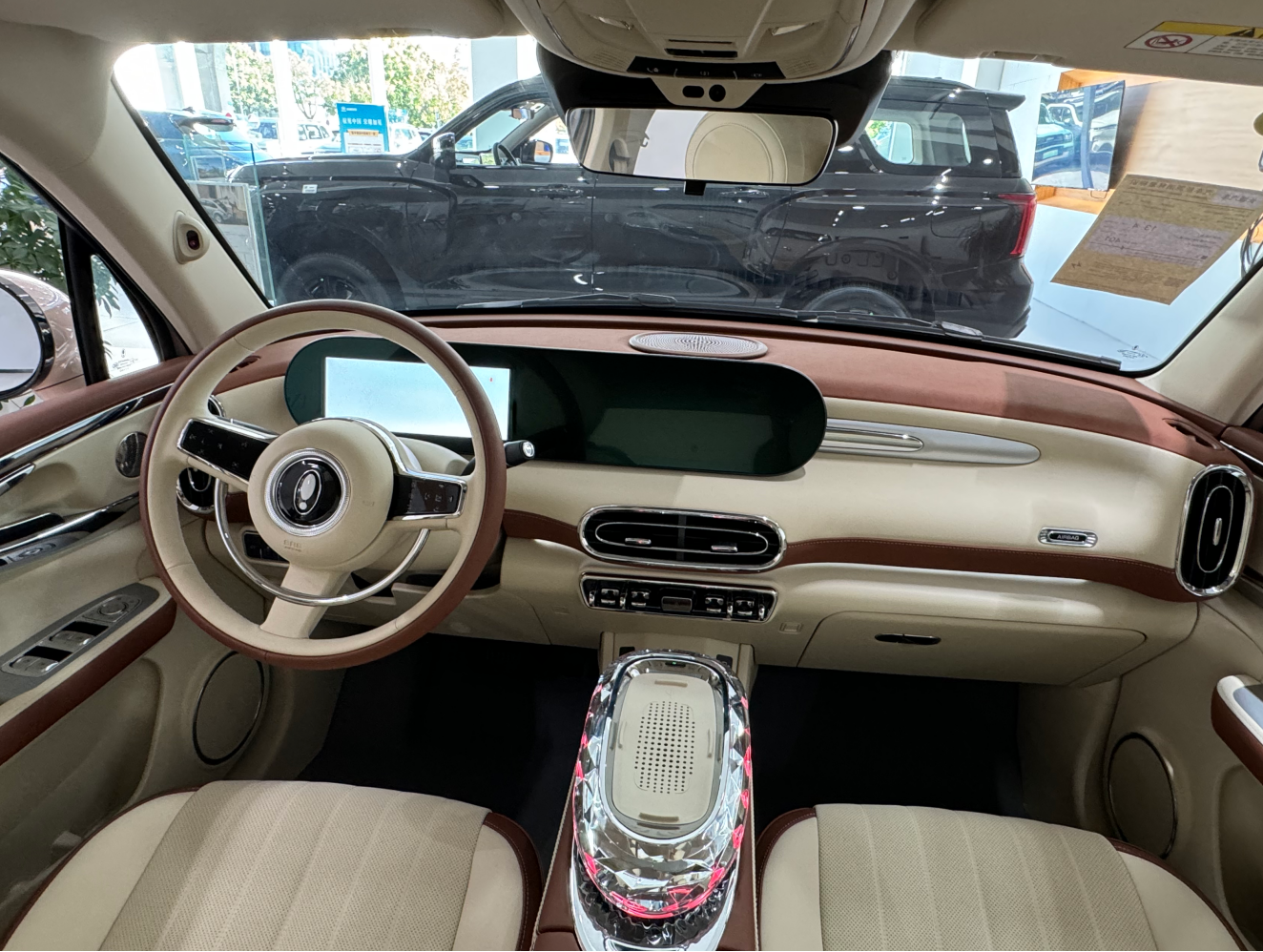 Elegant Pure Electric