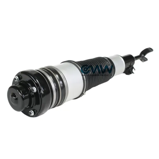 Front Air Suspension Struts for Audi A6 C6 S6 Allroad Avant Quattro Air Shock Absorber