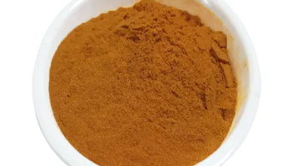 turmeric extract 95% curcumin powder