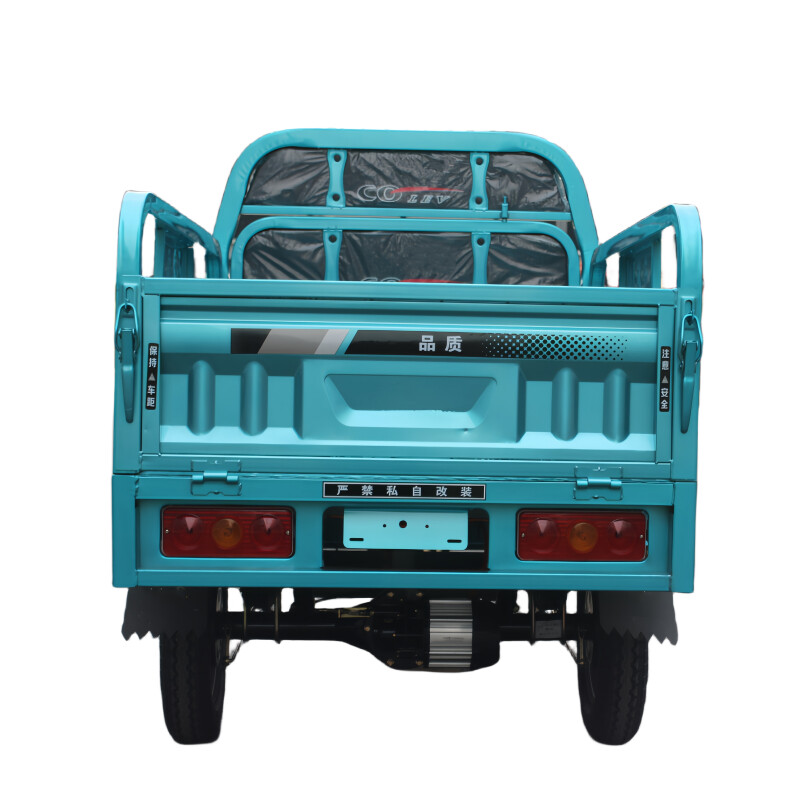 Electric cargo tricycle