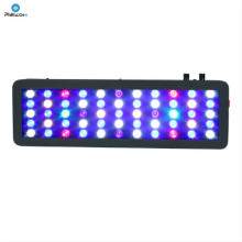 LED Full Spectrum 165W Aquarium Light for Aquatic