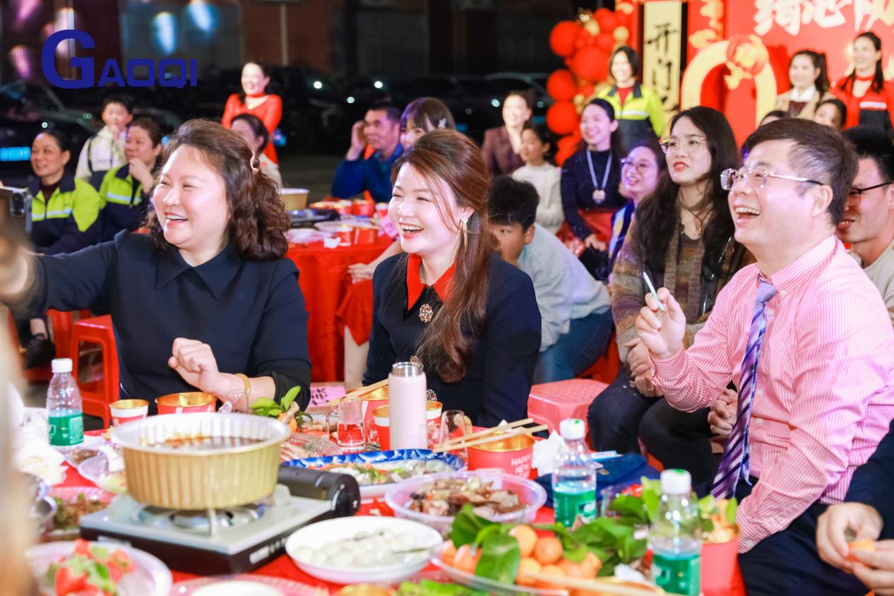 Dongguan Gaoqi Electronics Co.Ltd