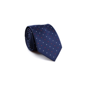 Classic Jacquard Woven Men's Neckties
