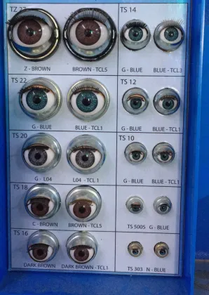 Lifelike Oval Plastic Toy Doll Eyes 10mm x 14mm for Newborn Baby Blythe Dolls