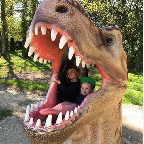 Dinosaur Park Equipment Dinosaur Head Statue for Photography