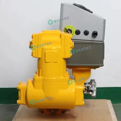 Ecotec American Standard Check Valve