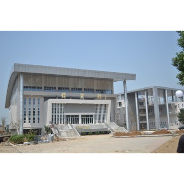 Proyecto de estructura de rejilla del gimnasio de la escuela secundaria Liuhe