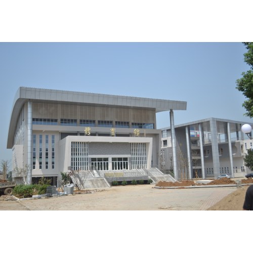 Proyecto de estructura de rejilla del gimnasio de la escuela secundaria Liuhe