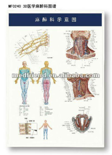 3D Medical Chart ---- Anesthesia chart