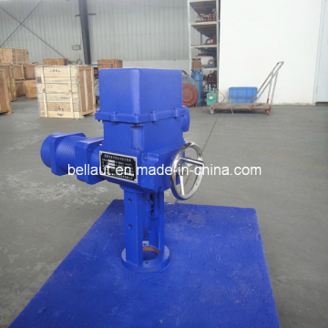 Linear Turn Actuator with Globe Valve